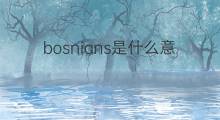 bosnians是什么意思 bosnians的翻译、读音、例句、中文解释