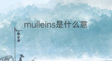 mulleins是什么意思 mulleins的翻译、读音、例句、中文解释