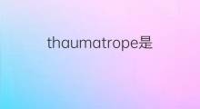 thaumatrope是什么意思 thaumatrope的翻译、读音、例句、中文解释