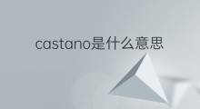 castano是什么意思 castano的翻译、读音、例句、中文解释