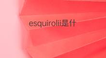esquirolii是什么意思 esquirolii的翻译、读音、例句、中文解释
