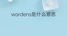wardens是什么意思 wardens的翻译、读音、例句、中文解释