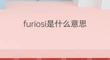 furiosi是什么意思 furiosi的翻译、读音、例句、中文解释