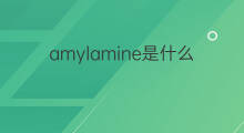 amylamine是什么意思 amylamine的翻译、读音、例句、中文解释