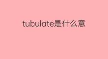 tubulate是什么意思 tubulate的翻译、读音、例句、中文解释