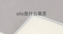elie是什么意思 elie的翻译、读音、例句、中文解释
