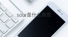 sour是什么意思 sour的翻译、读音、例句、中文解释
