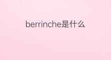 berrinche是什么意思 berrinche的翻译、读音、例句、中文解释