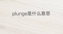 plunge是什么意思 plunge的翻译、读音、例句、中文解释