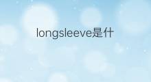 longsleeve是什么意思 longsleeve的翻译、读音、例句、中文解释