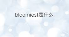 bloomiest是什么意思 bloomiest的翻译、读音、例句、中文解释