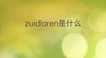 zuidlaren是什么意思 zuidlaren的翻译、读音、例句、中文解释