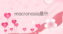 macronosia是什么意思 macronosia的翻译、读音、例句、中文解释