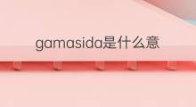 gamasida是什么意思 gamasida的翻译、读音、例句、中文解释