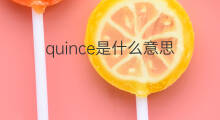 quince是什么意思 quince的翻译、读音、例句、中文解释