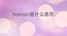 hamsin是什么意思 hamsin的翻译、读音、例句、中文解释