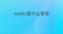 mellin是什么意思 mellin的翻译、读音、例句、中文解释