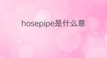 hosepipe是什么意思 hosepipe的翻译、读音、例句、中文解释