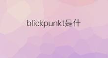 blickpunkt是什么意思 blickpunkt的翻译、读音、例句、中文解释