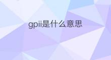 gpii是什么意思 gpii的翻译、读音、例句、中文解释