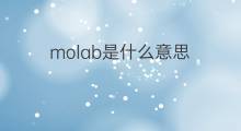 molab是什么意思 molab的翻译、读音、例句、中文解释