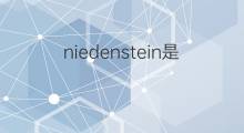 niedenstein是什么意思 niedenstein的翻译、读音、例句、中文解释