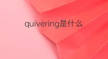 quivering是什么意思 quivering的翻译、读音、例句、中文解释