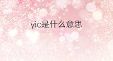 yic是什么意思 yic的翻译、读音、例句、中文解释