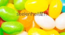 seelenheil是什么意思 seelenheil的翻译、读音、例句、中文解释