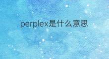 perplex是什么意思 perplex的翻译、读音、例句、中文解释