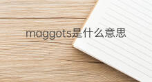 maggots是什么意思 maggots的翻译、读音、例句、中文解释
