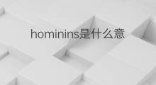hominins是什么意思 hominins的翻译、读音、例句、中文解释