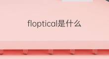 floptical是什么意思 floptical的翻译、读音、例句、中文解释