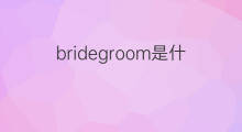 bridegroom是什么意思 bridegroom的翻译、读音、例句、中文解释