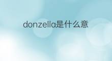 donzella是什么意思 donzella的翻译、读音、例句、中文解释