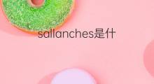 sallanches是什么意思 sallanches的翻译、读音、例句、中文解释