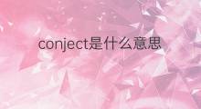 conject是什么意思 conject的翻译、读音、例句、中文解释