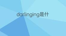 darlinging是什么意思 darlinging的翻译、读音、例句、中文解释