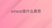 wheat是什么意思 wheat的翻译、读音、例句、中文解释