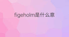 figeholm是什么意思 figeholm的翻译、读音、例句、中文解释