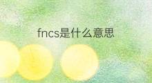fncs是什么意思 fncs的翻译、读音、例句、中文解释