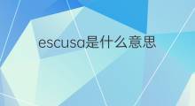 escusa是什么意思 escusa的翻译、读音、例句、中文解释