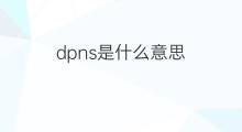 dpns是什么意思 dpns的翻译、读音、例句、中文解释