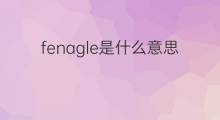 fenagle是什么意思 fenagle的翻译、读音、例句、中文解释