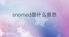 snomed是什么意思 snomed的翻译、读音、例句、中文解释