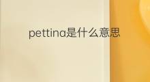 pettina是什么意思 pettina的翻译、读音、例句、中文解释