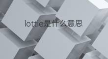 lottie是什么意思 lottie的翻译、读音、例句、中文解释
