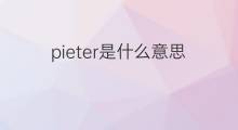 pieter是什么意思 pieter的翻译、读音、例句、中文解释