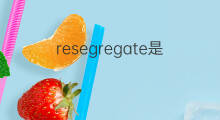 resegregate是什么意思 resegregate的翻译、读音、例句、中文解释