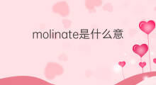 molinate是什么意思 molinate的翻译、读音、例句、中文解释